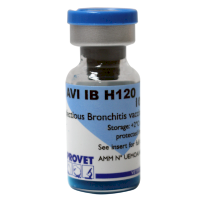 HB 120