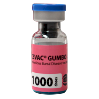 Gumboro 500